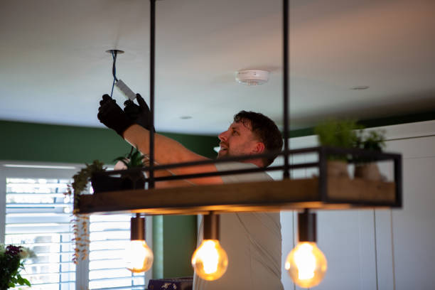 Best Electric Panel Repair  in Colorado City, AZ