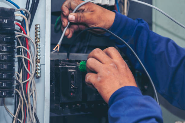 Best Ceiling Fan Installation Electrician  in Colorado City, AZ